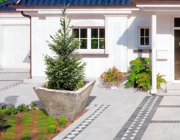 Vas decorativ pentru arbusti